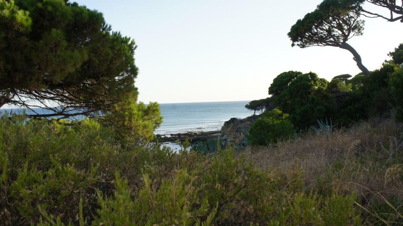 Luxurious T2 Apartment, Olhos Dagua Αλμπουφέιρα Εξωτερικό φωτογραφία